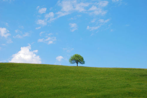 Pourquoi le ciel est-il bleu ?